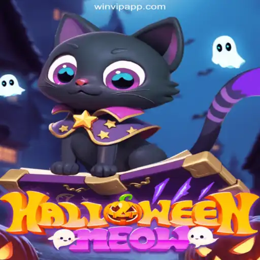 HalloweenMeow: Dive into the Spooktakular Adventure